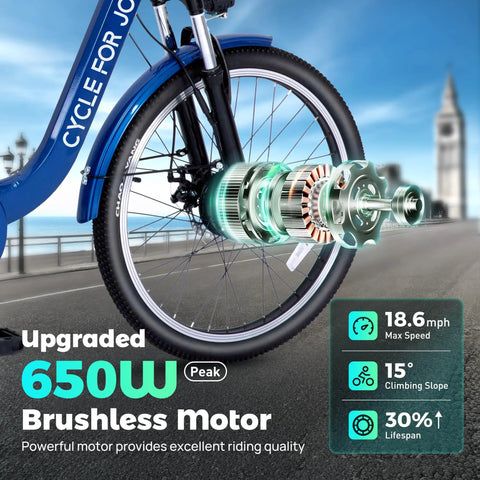 Three Wheel Electric Trike For Adults And Seniors With 48V 13Ah Battery Powerful Motor GCC And UL Certified Safety UL 2849 UL 2272 24-inch wheel