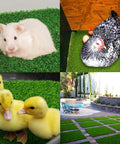 Various animals on grass surface, demonstrating 9 Pack Nesting Pads For Chicken Coop 13 By 13 Inch Washable Reusable Nest Box Pads.