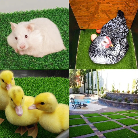 Various animals on grass surface, demonstrating 9 Pack Nesting Pads For Chicken Coop 13 By 13 Inch Washable Reusable Nest Box Pads.