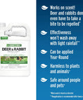 Deer And Rabbit Repellent 2 Pack Ready To Use Gallon Rain Resistant Spray For Gardens Flowers Shrubs Trees And Vines label
