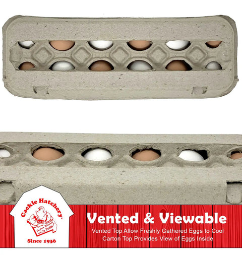 Vented Paper Pulp Egg Cartons 12 Pack Holds 1 Dozen Eggs Biodegradable And Compostable Recycled Paper For Backyard Flock