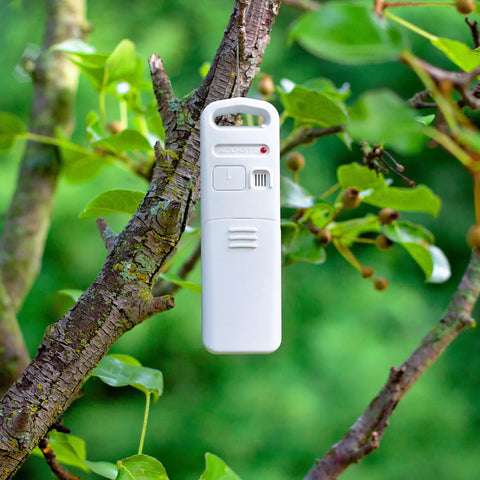 Portable white weather sensor on a tree branch, with buttons and indicators, used for Weather Forecaster Alarm Clock With Wireless Qi Charging Pad Real Time Indoor And Outdoor Temperature And Humidity Calendar Illuminated LCD Display No Wires Needed.