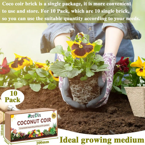 Planting flowers with 10 Pack Coconut Coir Bricks for Seed Starting And Garden Substrate That Is 100 Percent Organic With Low EC.
