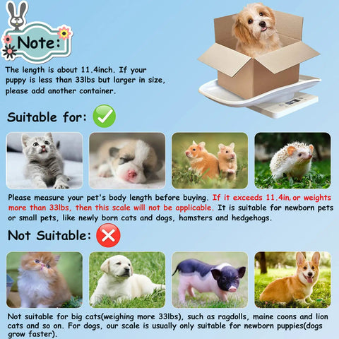 Portable Pet Scale With Tray LCD Digital Weighing Scale Up To 33 Lbs For Small Pets Like Puppies Kitten Hamster and More