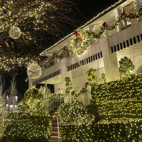 Clear Warm White Outdoor Christmas String Lights On White Wire 150 Count Incandescent Mini Lights adorning garden bushes and house at night