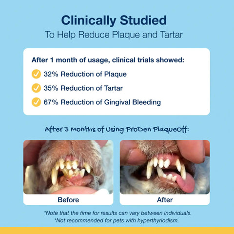 PlaqueOff Dental Care Seaweed Formula For Dogs And Cats Natural Tartar Control And Breath Freshening Supports Healthy Mouth And Gums 60g Easy Daily Dose No Fuss Oral Hygiene For Pets results chart and before-after dog teeth comparison