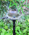 50 Pack Drip Emitters With Stakes, Fan Shaped 360 Degree Sprayer in action, watering plants in a garden setting, close-up view