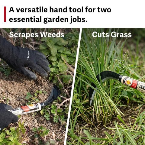 Japanese Daruma Garden Sickle Hand Tool For Grass Cutting Surface Weeding And Everyday Garden Work with steel curved blade in use