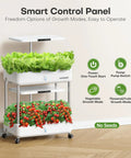 Hydroponics Growing System Indoor Urban Grow Kit with 44 Pod Germination and LED Grow Light, two-layer planter with vegetables