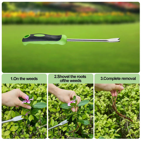 Stand Up Weed Puller Tool With Long Handle For Lawn And Garden, Heavy Duty Stainless Steel Manual Weeder in use, pulling weeds.