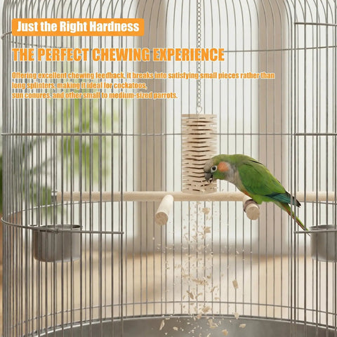 Small parrot on Safe Untreated Ultra Soft Balsa Wood Foraging Toy With Canyon Groove Design For Small Parrots in cage