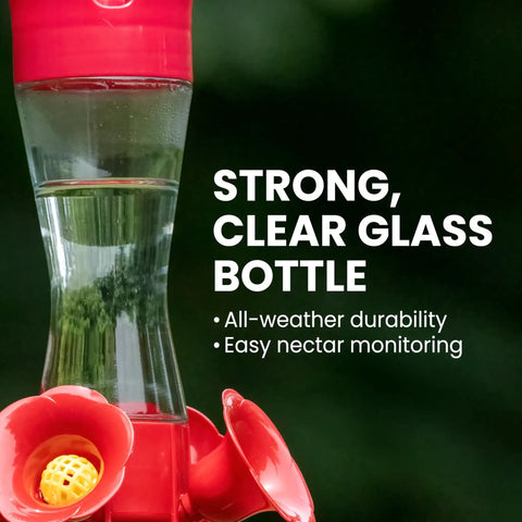 Glass Hummingbird Feeder With Four Flower Ports And Comfortable Perches, 8 Oz Nectar Capacity, featuring a strong, clear glass bottle.