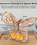 DIY Wooden Butterfly Gear Kit For STEM Learning And Physics Teaching on classroom table with labeled parts diagram.