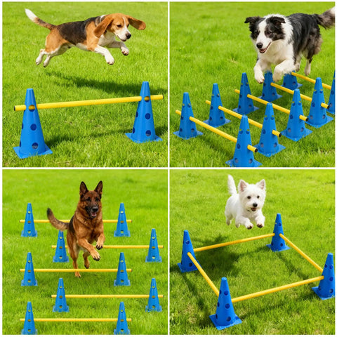Dogs using Dog Agility Hurdle Cone Set with ten twelve point five inch cones and five thirty one point five inch rods in backyard training