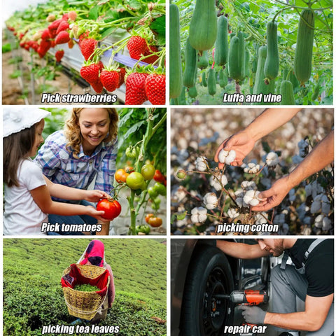 Collage of activities: picking strawberries, growing luffa, harvesting tomatoes, cotton picking, tea leaf collection, and car repair.