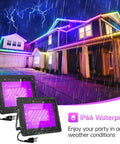 2 Pack 100W IP66 Waterproof Black Light Flood Lights With Plug And 6 Foot Cable illuminating a house in the rain