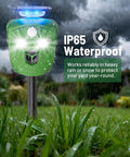Solar 360 Degree Animal Deterrent For Yard And Garden With Motion Sensors Waterproof Ultrasonic And Flashing Light Outdoor Deer Raccoon Cat Repellent No Blind Spots in rain, IP65 waterproof