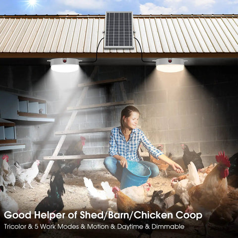 Image of Solar Ceiling Lights with Motion Sensor 2 Pack illuminating a chicken coop with solar panel on roof, featuring remote and dimmable modes.