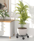 10.24 Inch Plant Caddy With Wheels For Indoor And Outdoor Use under a potted palm by a wooden cabinet