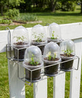 10 Pack Self Watering Seed Starter Pots With Humidity Dome, 6.5 By 3.5 Inch Auto Watering Plant Nursery Pots outdoors on fence