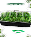 Six Pack Seed Starter Tray Kit With Humidity Domes showing green seedlings with tools on white background