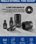 Premium 11 Piece E Torx Socket Set Fits 1/4 And 3/8 Inch Drives Crafted From Tough Crv Steel With Rust Resistant Black Coating, E4 to E20 sizes.
