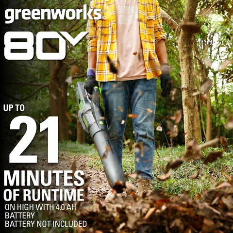 Heavy Hitter 80V Electric Leaf Blower With Brushless Motor, 730 CFM Airflow And 170 MPH Gust For Zero Fuss Yard Cleanup, Driveway And Patio Debris Blaster, Tool Only in use on a trail with leaves.