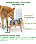 Top Shelf Bamboo Dog Food And Water Dispenser Stand For Medium Dogs Adjustable Pet Feeder Rack elevating a bowl while medium dog drinks.