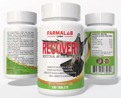 Pigeon Vitamin Supplement With B12 And B15 For Energy Boost And Endurance, 100 Tablets bottle front and back labels.