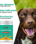 Dog Muscle And Joint Recovery Supplement With Fortetropin And Green Lipped Mussel For Faster Recovery 396 Gr with happy dog