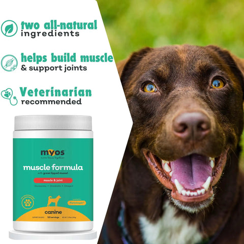 Dog Muscle And Joint Recovery Supplement With Fortetropin And Green Lipped Mussel For Faster Recovery 396 Gr with happy dog