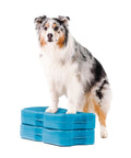 Dog on turquoise inflatable platforms from Inflatable Dog Balance Training Platform Kit 2 Pack With Dope Air Pump Straps Training Videos Ebook