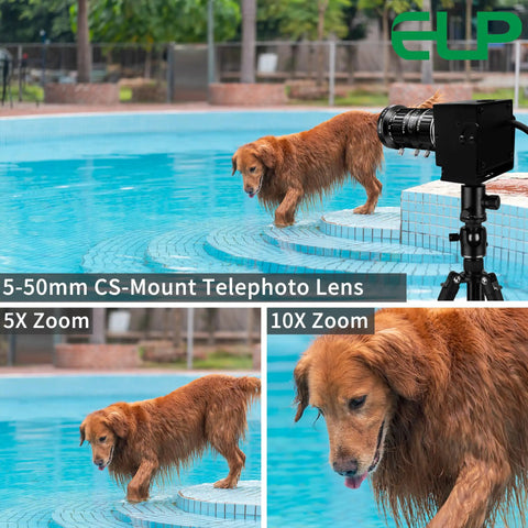 5-50mm 10X USB Zoom Camera With 12MP Sensor 1080P 120FPS Varifocal CS Mount Lens capturing a dog at a pool, multiple zoom levels shown