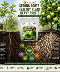 Guava Growth Food Organic Fertilizer For Fast Growth And Heavy Fruiting 200 G With Nitrogen Phosphorus Potassium And Microorganisms For Big Yields In Your Home Garden, pouch
