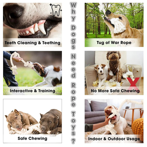 Natural White Cotton Dog Rope Toy For Medium And Large Dogs Built Tough And Non Toxic Premium Durable Rope Toy For Chewing Teeth Cleaning And Interactive Tug And Fetch Washable, featured in various dog play scenarios.
