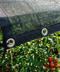 30 Percent Shade Cloth For Greenhouses And Gardens 8 Foot By 12 Foot Heavy Duty HDPE Tarp With Grommets installed over plants