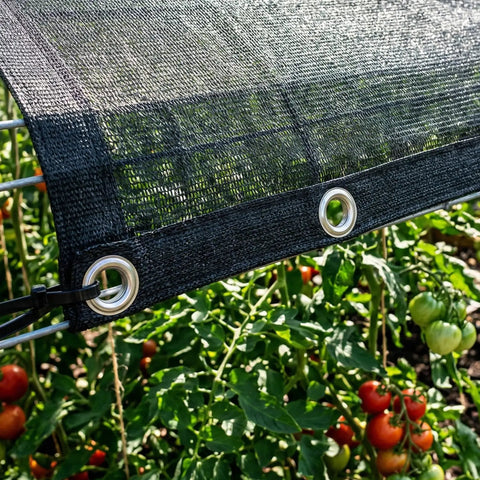 30 Percent Shade Cloth For Greenhouses And Gardens 8 Foot By 12 Foot Heavy Duty HDPE Tarp With Grommets installed over plants