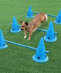 Rugged Outdoor Dog Training Stakes Portable Agility Pole Set For Running Jumping And Fetch Practice Durable Plastic Poles In Blue