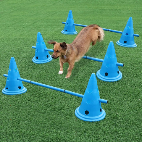 Rugged Outdoor Dog Training Stakes Portable Agility Pole Set For Running Jumping And Fetch Practice Durable Plastic Poles In Blue