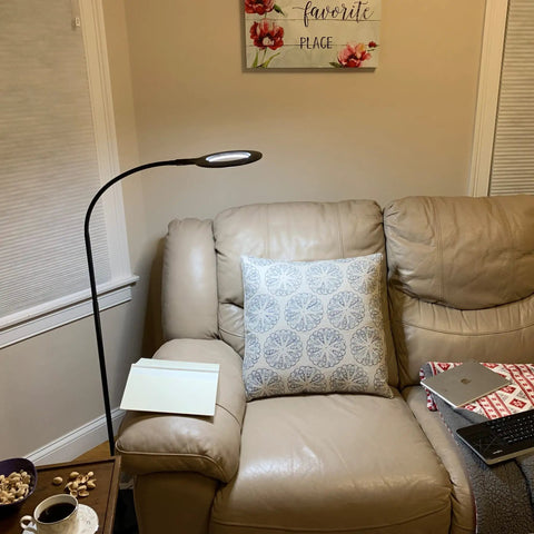 Gooseneck LED Floor Lamp For Office Reading And Bedrooms Non Glare Eye Safe Lighting 600 Lumens From 3 Watt LED Energy Saver Lit