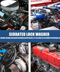 Collage of car engine parts highlighting use of Industrial Grade Stainless Steel Internal Tooth Serrated Lock Washers Kit 280 Pcs.