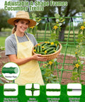 Woman holding cucumbers in front of adjustable A-frame garden trellis with climbing net and plant clips in garden.