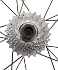 Close-up of bike wheel with Bottom Bracket And Lockring Tool For Campagnolo Cassettes BBT 5 And FR 11 Pro Grade Tool.