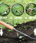 Manual Hand Weeder With Bend-Proof Leverage Base For No-Fuss Easy Weed Removal And Deep Digging Sturdy Chrome Plated Steel Dandelion Puller Tool demonstration with wooden handle and leverage base