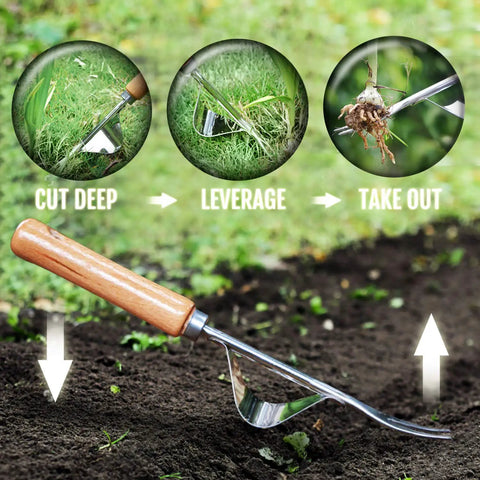 Manual Hand Weeder With Bend-Proof Leverage Base For No-Fuss Easy Weed Removal And Deep Digging Sturdy Chrome Plated Steel Dandelion Puller Tool demonstration with wooden handle and leverage base