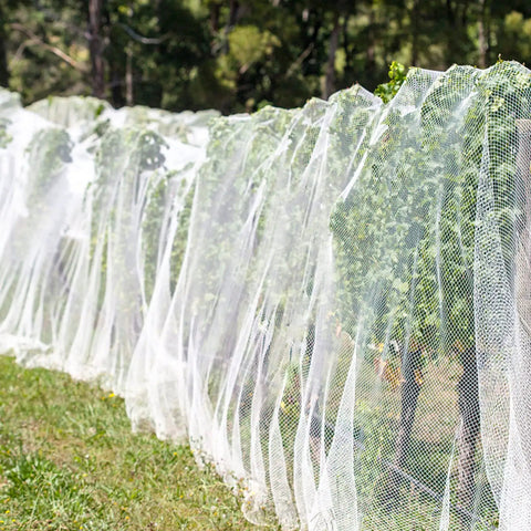 10x20 Garden Netting Bird Proof Insect Mesh For Vegetables Fruits And Plants Waterproof Sunproof Durable Pest Barrier shielding plants