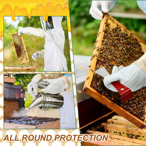 All In One Beekeeping Starter Kit With 30 Piece Gear And Protective Jacket For Beginners To Pros, showing beehive frame and tools.