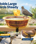 Top Shelf Deck Mounted Bird Bath Featuring Adjustable Heavy Duty Metal Clamp And All Weather Resistant Retro Bronze Finish Durable Plastic Basin Safe For Backyard Or Garden Use with large bird perched on basin.
