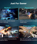 Image showcasing gaming monitor features: black level optimization, pinpoint strike aiming, timer tracking, and preset game modes.