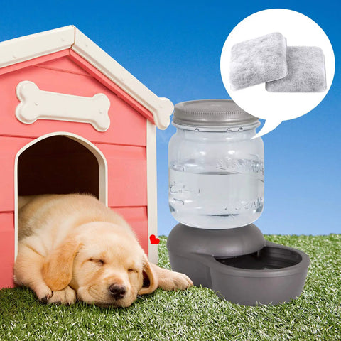 Dog Water Filter Replacement Six Pack For Petmate Replendish And Mason Gravity Waterers, with sleeping puppy and dispenser.